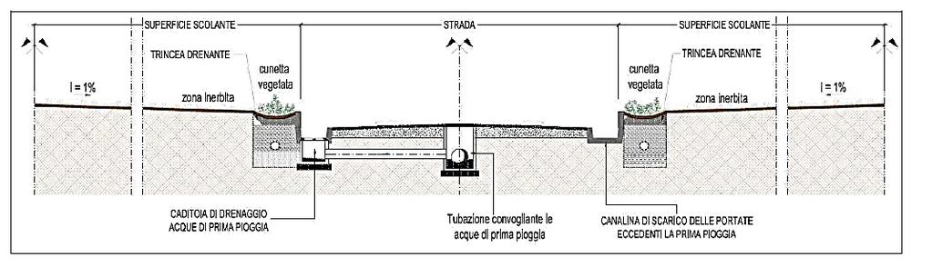 Trincee drenanti vegetate per la