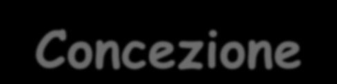 non modificabile (innatismo) e dall altro quelli che considerano l intelligenza potenziabile