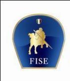 Federazione Italiana Sport Equestri Dipartimento Pony Campionato