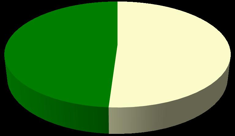 Lesioni trattate 49 lesioni N 47 lesioni M M 49% N 51% 8% 92% primo trattamento