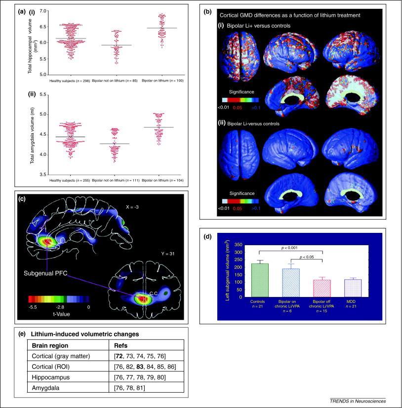 ippocampo Bipolar Li + (gray matter) H B