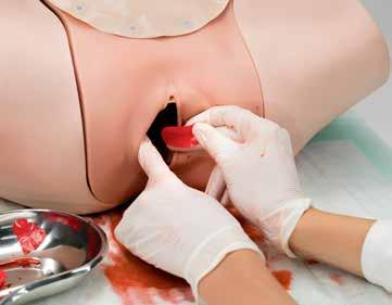 Il modulo Trainer per EPP, grazie alla simulazione realistica dei tessuti molli, consente di sentire e manipolare l utero