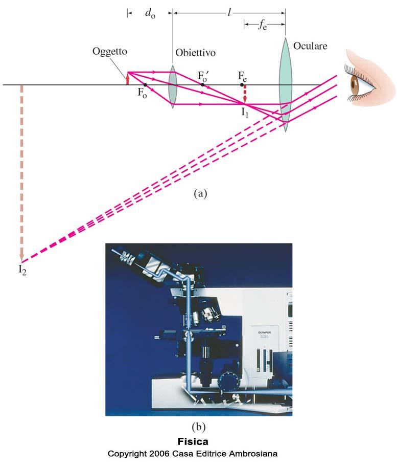 Microscopio