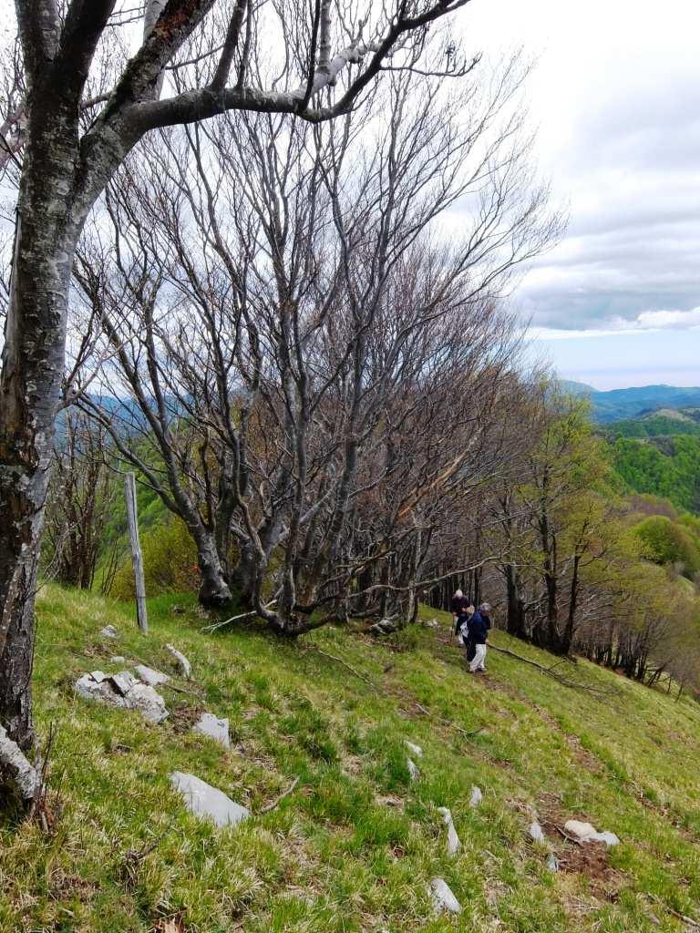 monte Cremado (1512 m