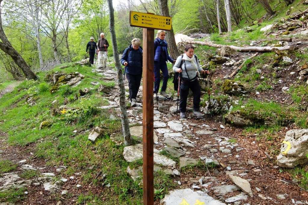 delle Cianazze (area pic-nic) dove si piega a destra.