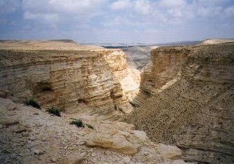 designa il deserto, indica questo luogo sia come midbar terra arida che come medabber