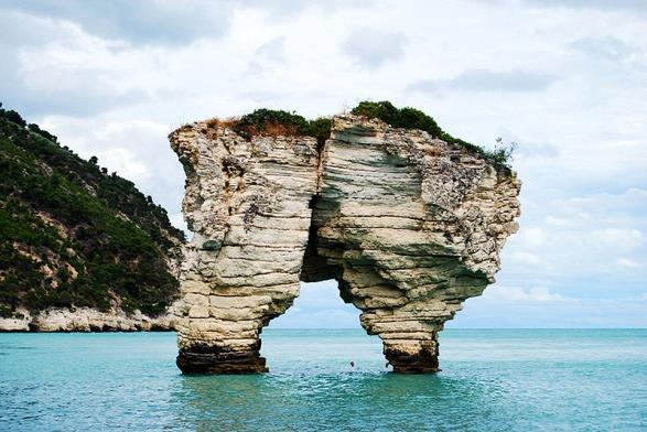 5 giorno:la Costa dei Mergoli - Monte Sant angelo Escursione panoramica lungo la costa dei Mergoli tra bianche falesie calcaree, spiagge ciottolose e fresche pinete litoranee.