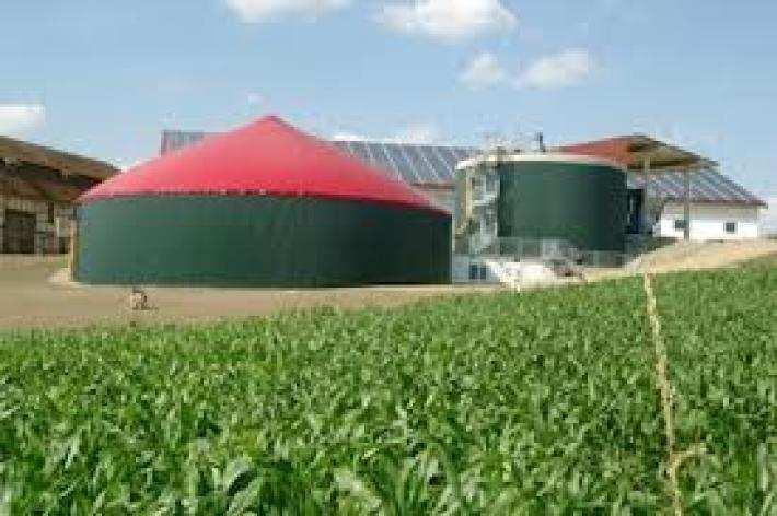 Biogas a Rapolano: il Comune in prima linea per accertare le responsabi... http://www.ilcittadinoonline.it/news/167607/biogas_a_rapolano il... 1 of 4 14/01/2014 9.