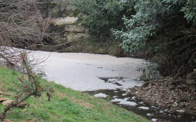 Inquinamento nel torrente Bestina, il Comune di Asciano segnala l'acca... http://www.sienafree.it/asciano/57427-inquinamento-nel-torrente-bestin... Martedì, 14 Gennaio 2014 cerca in SienaFree.