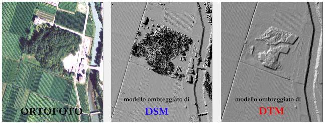 T.M. (Modello Digitale del Terreno) Ortofoto