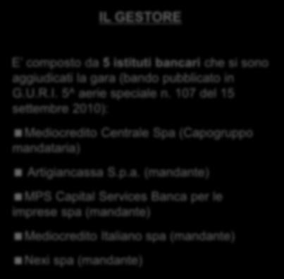 IL CONSIGLIO DI GESTIONE IL GESTORE E composto da 7 membri in rappresentanza di: MISE (2) tra cui il Presidente del Fondo 1 esperto del Fondo nominato dal MISE MEF (2) tra cui il Vice Presidente del