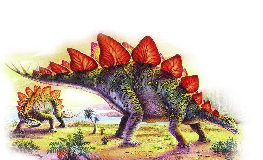 Espedienti dello Stegosauro (I) IL GIURASSICO 3 128 Le placche dello Stegosauro Per molti anni si è dibattuto sulla posizione delle placche dello STEGOSAURO, e