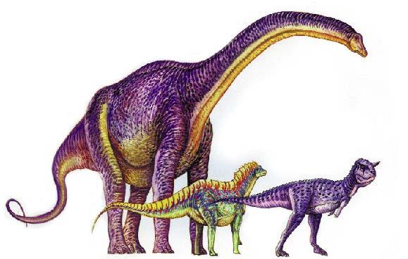 Fu il primo a rendersi conto che i dinosauri del Gondwana erano più grandi di quelli della Laurasia.