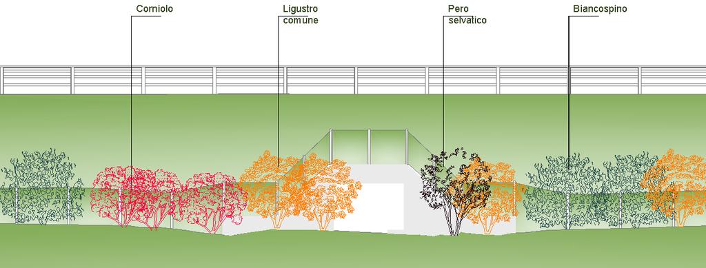 Sistemazioni Ambientali Ripristino della naturalità dei luoghi con piantumazione di più di 4.