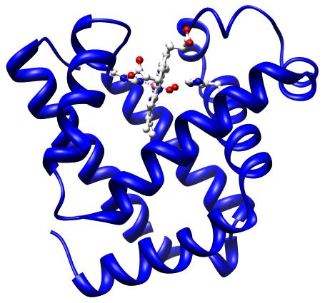 Esempio 3: La mioglobina è una proteina che lega l O secondo la reazione: Mb (aq) + O (aq) MbO (aq) All equilibrio: [Mb 3.