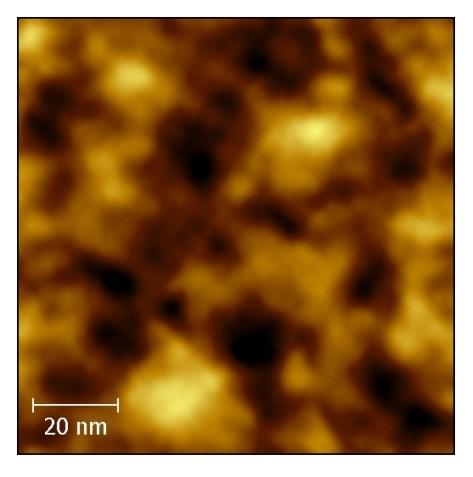 3nm Microscopia a forza atomica IMMAGINE DI FASE