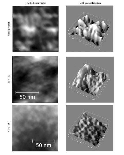 Polymer-electrolyte Fuel Cells (PEMFC) Membrana: natura ibrida idrofilica/idrofobica Microscopia a forza atomica TOPOGRAFIA (rugosità) Le zone chiare sono le porzioni