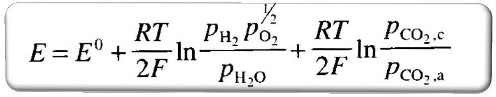 Molten carbonate fuel cells (MCFC) Principi