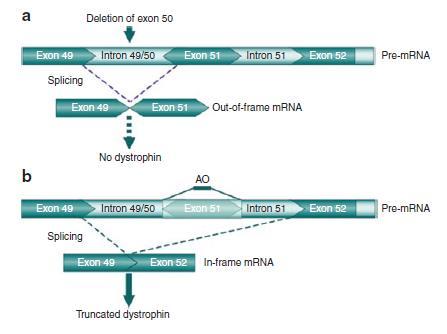 Studi clinici fase 1-2-3 in corso con oligonucleotidi antisenso: