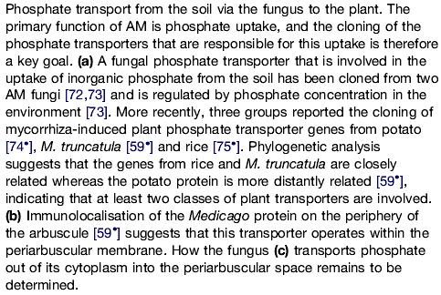 del fosfato dal suolo c) trasportatore fungino per il rilascio del fosfato nello