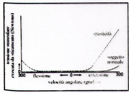 Tono muscolare Il tono è la resistenza allo stiramento passivo del muscolo. La resistenza è velocitàdipendente.