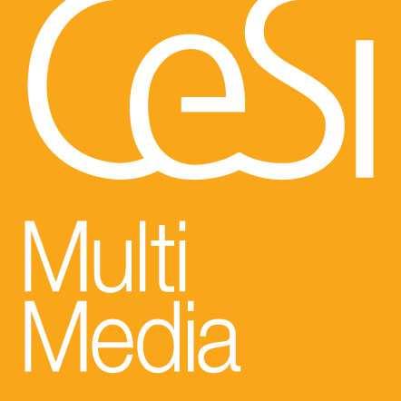 Copyright 2018 - Cesi Multimedia s.r.l. Via V. Colonna 7, 20149 Milano www.cesimultimedia.it Tutti i diritti riservati. È vietata la riproduzione dell opera, anche parziale e con qualsiasi mezzo.