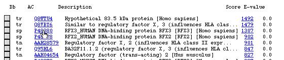 Infatti, sebbene abbia un valore di Score più basso della proteina di topo, essa è perfettamente identica alla sonda per i primi 656 residui.