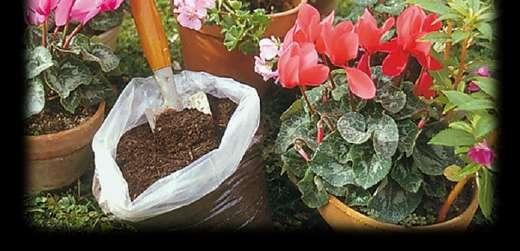 Cosa è il compost È un terriccio ricco di sostanze nutritive con caratteristiche simili all humus del sottobosco che può essere impiegato come fertilizzante nell orto o in giardino.