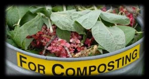 ottenere un compost di qualità Preparazione e disposizione del