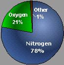 Altre sostanze quali: Acqua (H 2 O) 0-7% Ozono (O 3 )