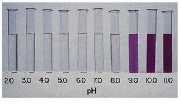 Gli Indicatori Partecipano all'equilibrio Nella titolazione si aggiunge una piccola quantità di indicatore. L'indicatore possiede due o più forme colorate in equilibrio.