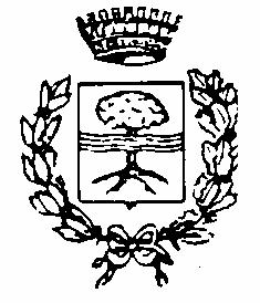 COPIA Comune di Pasiano di Pordenone Provincia di Pordenone Verbale di deliberazione del Consiglio Comunale N. 47 del Reg.