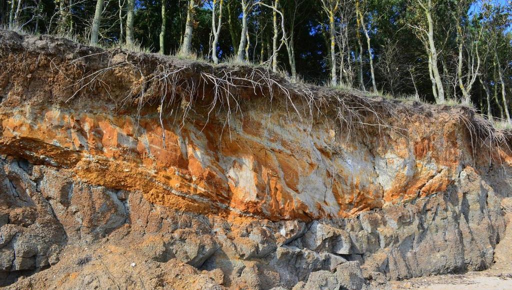 9 Erosione marina sulla costa dell isola di Mersea (Inghilterra) sul Mare del Nord: l erosione