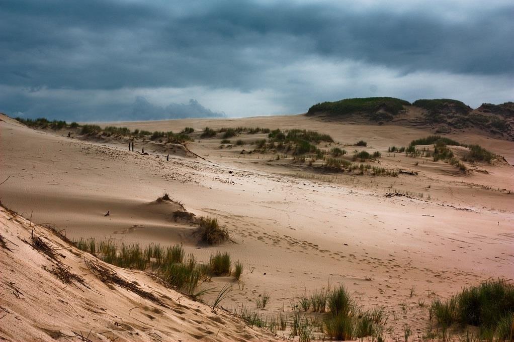 31 Le dune del Parco Nazionale di Słowiński (Polonia).