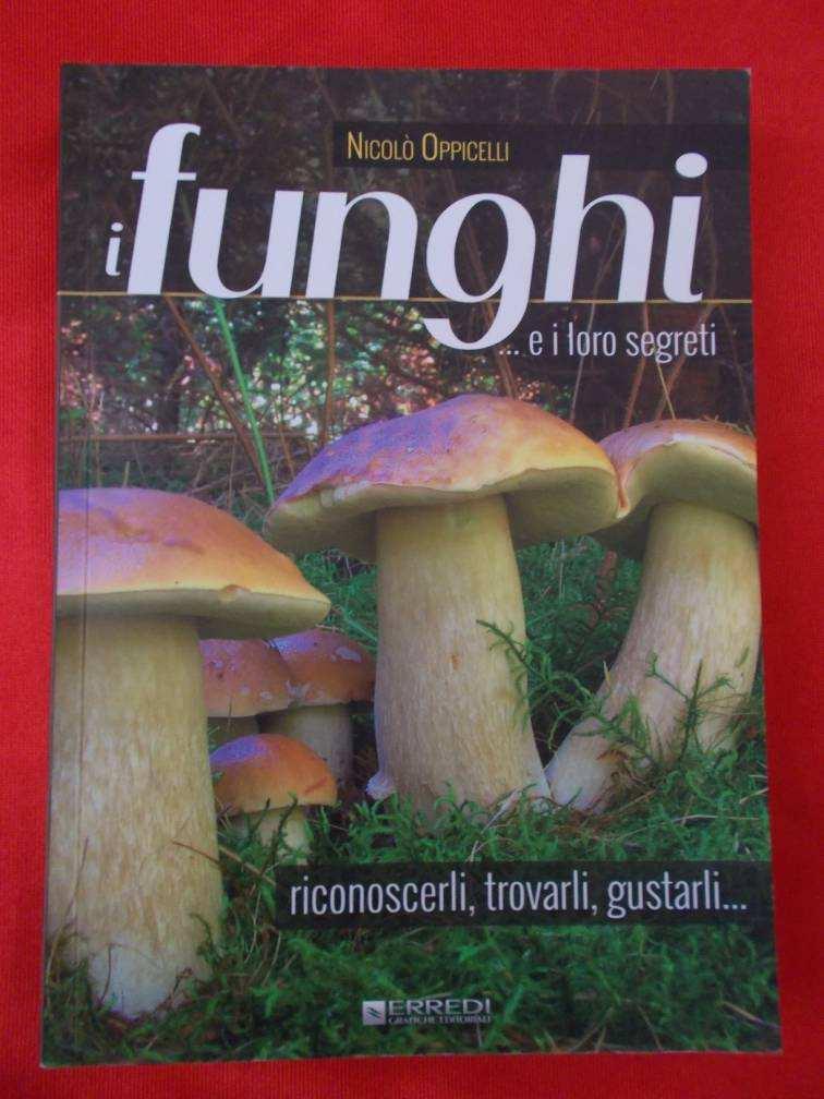 Clitocybe nebularis Commestibilità: Pag.