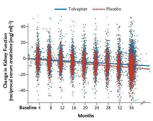 The increase in total kidney volume in the tolvaptan group was 2.8% per year, versus 5.5% per year in the placebo group (P<0.