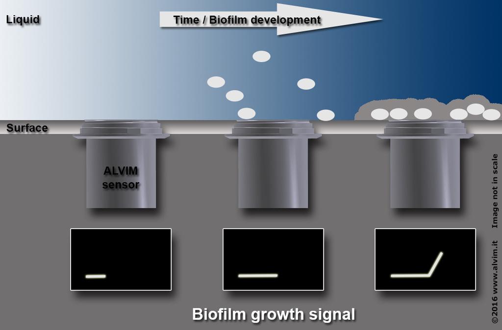 La Tecnologia ALVIM Il Sistema ALVIM di Monitoraggio del Biofilm è in grado di rilevare in linea ed in tempo reale la crescita batterica, sin dalle sue prime fasi (a partire dall 1% di superficie