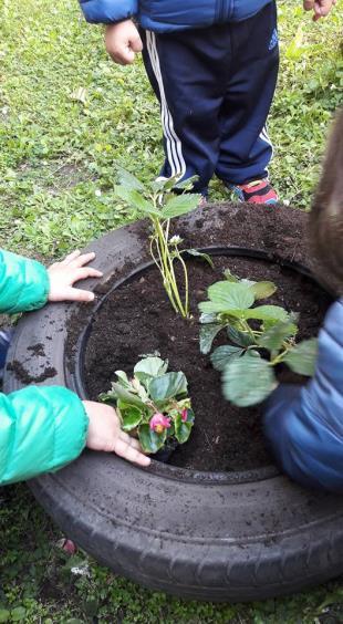 Giardinaggio STRUMENTI Giardino. Primavera e estate. Tutti i bambini. Nell arco della mattinata.