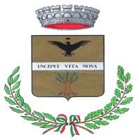 COMUNE DI FINO DEL MONTE Provincia di Bergamo DELIBERA DEL CONSIGLIO COMUNALE N.