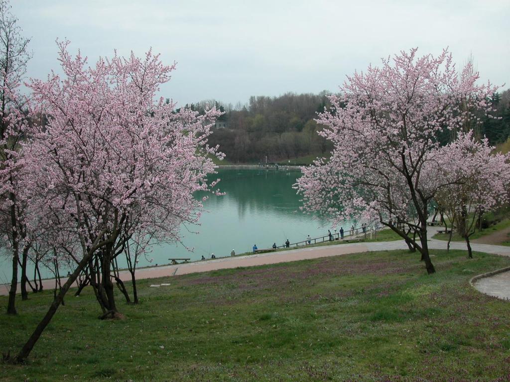 Parco Lago
