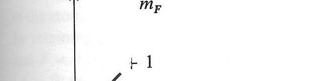 energetico Modellino