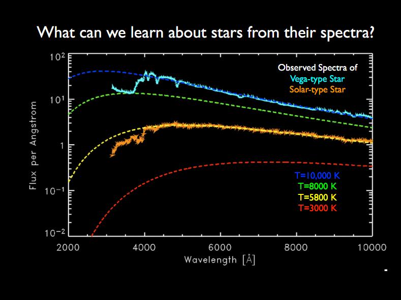 Cosa possiamo imparare sulle stelle dai loro spettri?