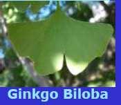 Segnalazioni di reazioni avverse in soggetti in trattamento con Ginkgo biloba da solo o in associazione con farmaci di sintesi Farmaco di sintesi associato Nessuno Acido acetilsalicilico Prep.