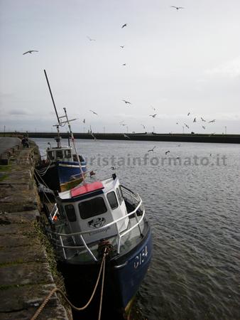 Il porto di Galway Ci sono anche tours organizzati ma confronta bene i prezzi e tieni conto che i tempi saranno stretti, non ci sarà tanto tempo per scorrazzare liberamente.