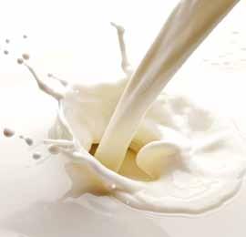 000 kg di latte BB è risultato circa il 9% superiore a quella realizzata con il latte AA (+8,2 kg di mozzarella prodotti). Meno documentato e chiaro è l effetto della variante E.