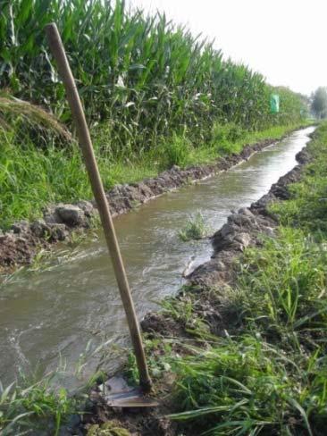 Limiti e attenzioni nell impiego ali gocciolanti Scarsa adattabilità all irrigazione turnata e organizzazione consorzi irrigui Stesura manichette su terreni pesanti/pioggia Recupero