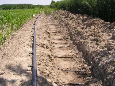 Sub irrigazione Irrigazione Volumi Produzione IWUE Consumo totali granella gasolio (mm) (t/ha) (kg/m3) (l/ha) sub-irrigazione 1 161 11.