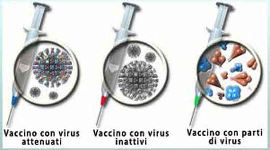 TIPOLOGIE DI VACCINO I vaccini posso essere suddivisi in due gruppi: Ø Costituiti dal microorganismo infettivo intero: virus o batteri vivi attenuati (polio-sabin,varicella,rotavirus, ecc.