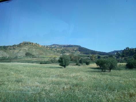 PARCO ARCHEOLOGICO VALLE DEI TEMPLI AGRIGENTO ll Parco, ampio circa 1300 ettari, conserva uno straordinario patrimonio monumentale e paesaggistico che