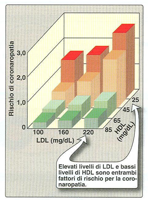 Effetto dell LDL e HDL